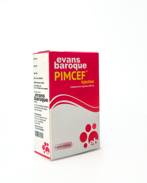 Pimcef Injection Cefepime 1g
