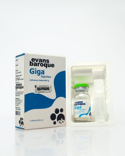 Giga Injection